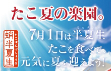 たこの夏の楽園